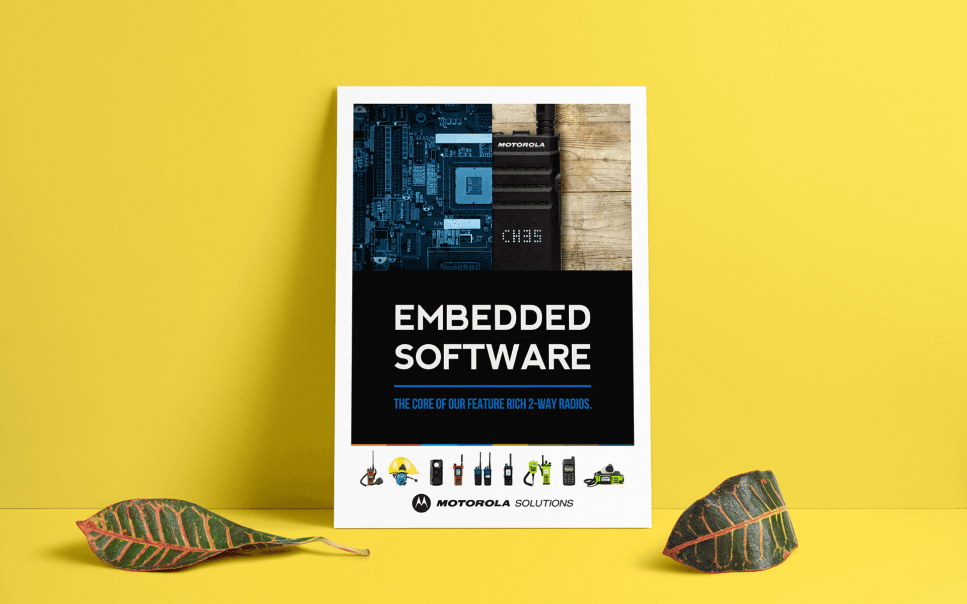 Digital & Print Assets - image 3